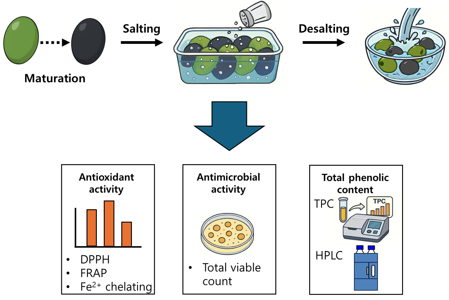AST-2025-038_R1_P_Graphical Abstract_001_png.png